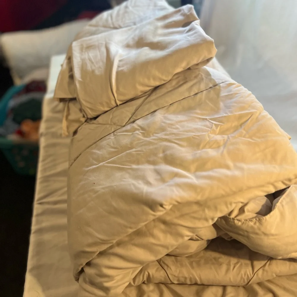 Elegant Beige Comforter Set
